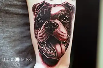 schwalben tattoo rücken frau